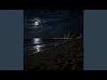 Playa Secrets