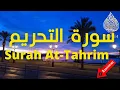 Download Lagu 🛑 Surah At-Tahrim Abdullah Matrood 🛑 سورۃ التحریم تلاوة هادئة عبد الله مطرود 🛑
