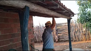 O ESTRANHO CASO SOBRENATURAL DE ZÉ VENÂNCIO