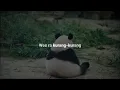 Download Lagu SLEMANRECEH-Wes Ra Kurang-Kurang(lirik\u0026overlay)slowed lagu jawa