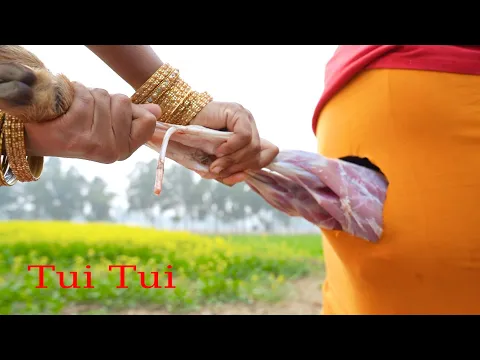 Download MP3 Tui Tui Unlimited  Comedy Video😂Tui tui Best Funny Video 2022😂Special New Video