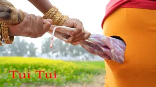 Download Tui Tui Unlimited  Comedy Video😂Tui tui Best Funny Video 2022😂Special New Video MP3