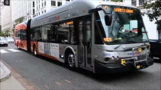 WMATA BUSES -