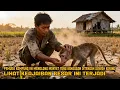 VIRAL! PEMUDA KAMPUNG INI MENOLONG MONYET YANG KEHAUSAN DITENGAH SAWAH KERING LIHAT KEAJAIBAN BESAR