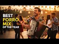 Lagu O Melhor Mix de Forró do Ano | Música Brasileira Para Dançar