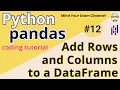 L12 Add New Rows and Columns to Pandas DataFrame Python Pandas Coding Tutorial in Hindi
