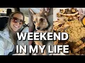 VLOG long Island family time shopping costco haul