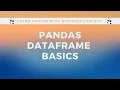 Learn Pandas Dataframe Basics with Business Context