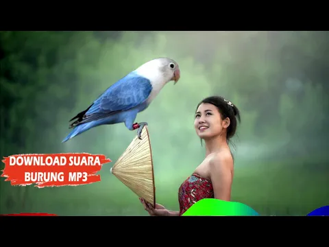 Download MP3 Masteran Suara lovebird ngetik dan ngekek panjang || download suara burung mp3 || suara gemercik air