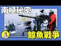 Download Lagu 海洋的守護者還是海盜？保羅·沃森，行走在海洋的傳奇人物，戰績遍佈五海，三次被捕入獄，三次無罪釋放，核彈，海豹，鯨魚，海豚，被指責環保恐怖主義的他，有着怎樣的故事……｜總裁聊聊