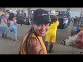 LA pulga de Alamo TX