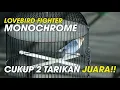Lovebird monochrome JUARA CUKUP DENGAN 2 TARIKAN SAJA