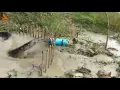 Python trap using live chicken