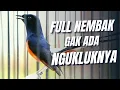 Download Lagu MASTERAN MURAI BATU FULL ISIAN TEMBAKAN MEWAH GAK ADA NGUKLUKNYA MUDAH DI TIRU BURUNG