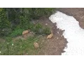 High Country Muleys - MonsterMuleys com