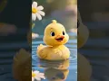 Download Lagu Dudi Dudi Dam Dam Song | #duck #duckshorts #littleducks #funny #dudidudidam