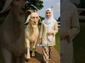 Kutukan Idul Adha: Pria Durhaka yang Menangis dalam Wujud Kambing #kisahnyata #faktaunik
