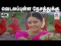Download Lagu Vedala Pulla Nesathukku இசைஞானி இசையில் ஸ்வர்ணலதா பாடிய பாடல் விடலப்புள்ள நேசத்துக்கு
