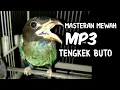 Lagu mp3 masteran tengkek buto !! jeda pas cepat masuk, wajib di coba