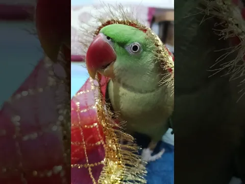 Purane jamane ki Bahu 😂😜 #funny #comedyvideos #shorts