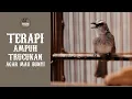 Download Lagu Terapi Ampuh Trucukan, agar mau bunyi