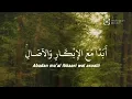 Download Lagu sholawat shola alaikallahu Robbi daiman