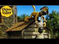 Lagu In The Dog House! 🐑 Shaun the Sheep 🐑  - Cartoons for Kids 🐑 Full Episodes Compilation [1 hour]