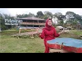 Download Lagu Pelesiran - Azmy Z │ Cover Rhida Agustina