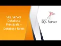 Understanding SQL Server Database Roles - Fixed User Defined