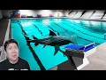 Download Lagu KETAKUTAN TERBESARKU HIU DI KOLAM RENANG JADI NYATA.... Sharks And Minnows