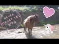 Download Lagu Never Forget You Rino ♥