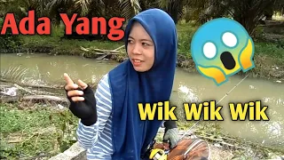 Download TERCIDUK MESUM DI TEMPAT MANCING !!! BIKIN GAGAL FOKUS MANCING NYA MP3