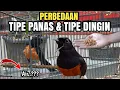 Download Lagu Gampang banget boss LIHAT TINGKAHNYA saja dah KETAHUAN‼️