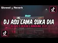Download Lagu Dj Asu Lama Suka Dia By Maman Fvndy (Selowed \u0026 Reverb)🎶