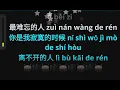 mei li nv ren 美丽女人 karaoke female