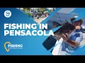Pensacola Fishing All You Need to Know FishingBooker