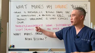 What makes my URINE bright Yellow