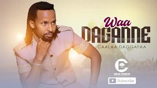 Caalaa Daggafaa Waa Daganne New Oromo Music 2022 Officail Vedio  Caalaa Daggafaa Waa Daganne New Oromo Music 2022 Officail Vedio