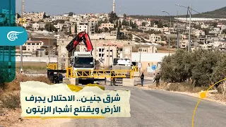 فيديو | شرق جنين.. تجريف الأراضي واقتلاع أشجار الزيتون!