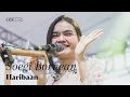 Download Lagu Soegi Bornean - Haribaan | Live at MADA FEST 2022