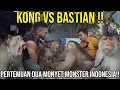 Download Lagu KONG VS BASTIAN PERTEMUAN DUA MONYET MONSTER INDONESIA!! #AudreyA #KINGOFTHEJUNGLE