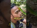 Download Lagu Nge-REVIEW Rasanya Digigit Ular❗😲 @jejaksiaden2687  #videoviral #ular #indonesia