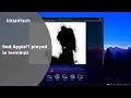 Bad Apple played in terminal python