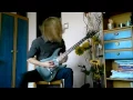 In Flames - Fear Is The Weakness (Guitar Cover)
