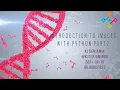 2021-09-10 Image Processing in Python Part 2