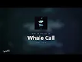 Wasia Project - Whale Call (Lyrics)