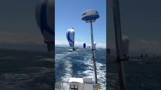 Spinnaker Run in Haro Strait