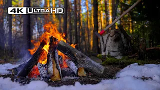 Cozy Campfire NO ADS 4K 12 Hours of Relaxing Fire Sounds in Spring Forest