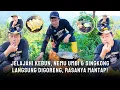 Download Lagu JELAJAHI KEBUN | Nemu Umbi \u0026 Singkong Langsung Digoreng, Rasanya Mantap!