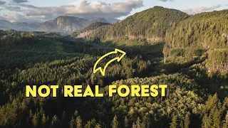 The REALITY of Life in Western Canada | Ch6E12